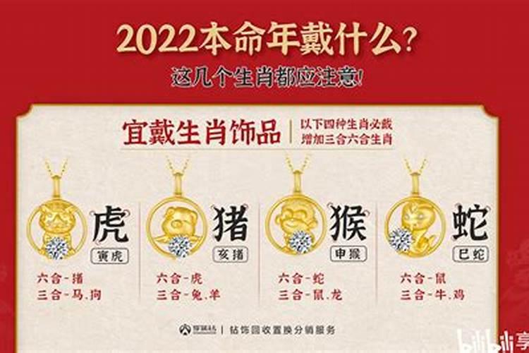 2023年是属什么生肖的年份