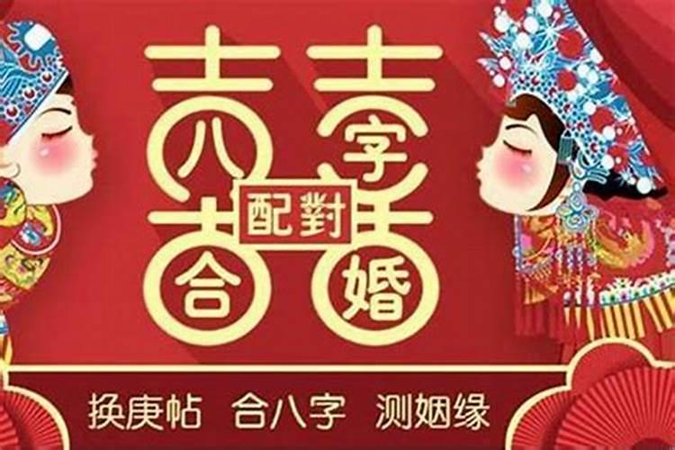 属鸡和属虎今年运势如何样