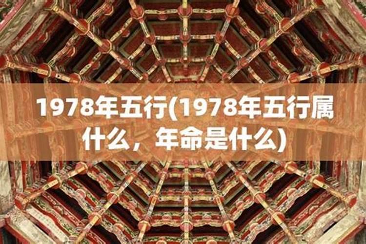 1978年属什么五行属什么