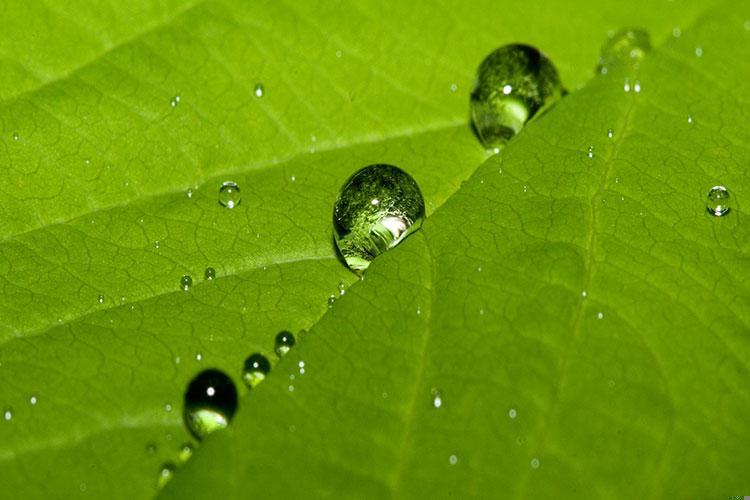 梦见刮风下雨房屋倒塌好不好