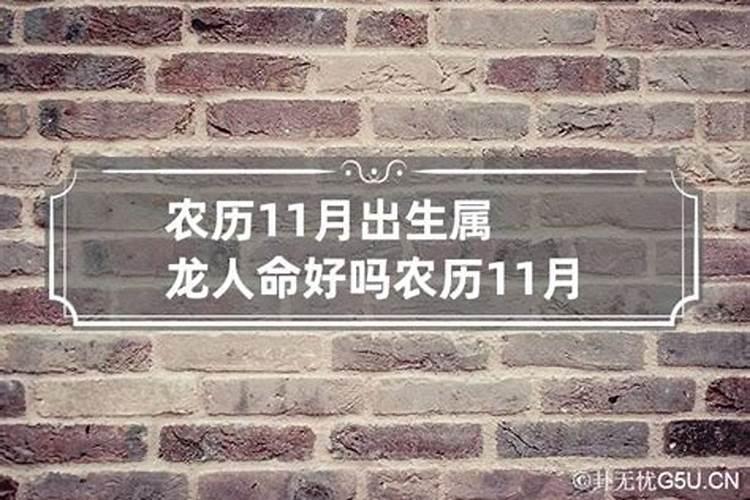 属龙11月份出生的命运