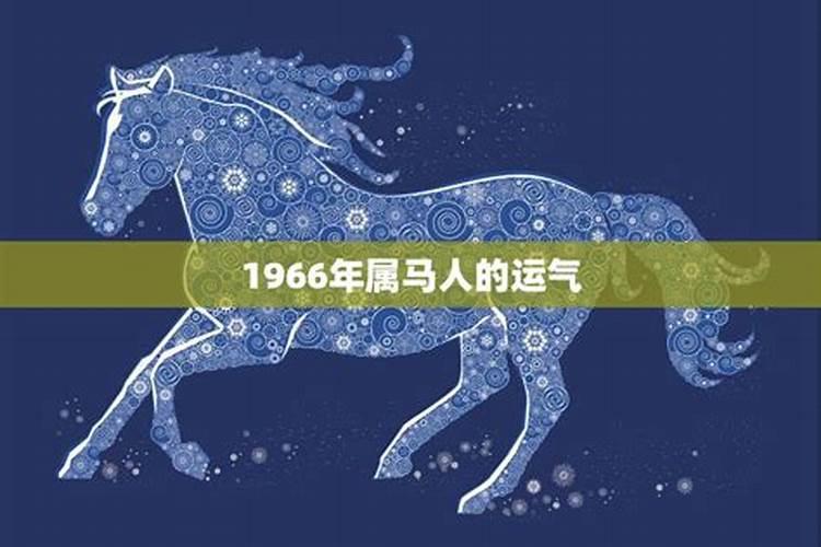 1966年的马今年运势如何