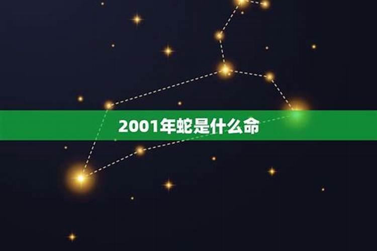 2001年属蛇是什么星座