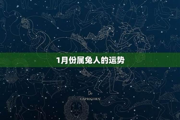 唯一能治愈水瓶的星座0