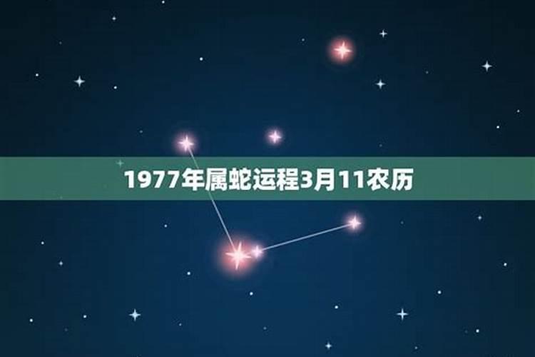 1977年11月生的运势如何