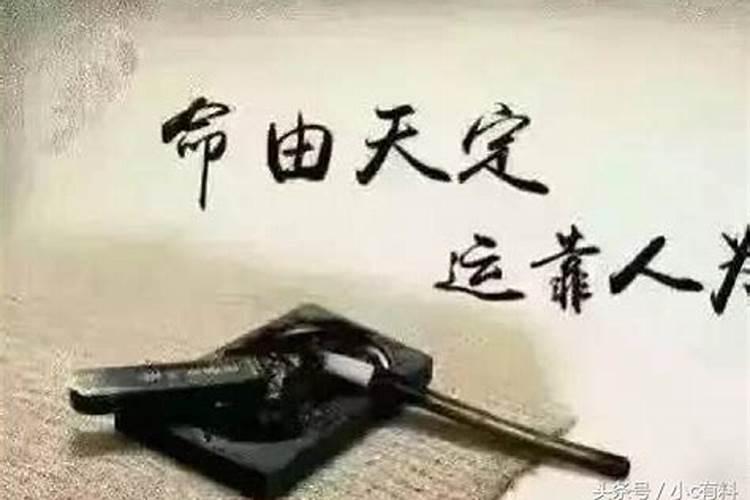 八字终身详批范例