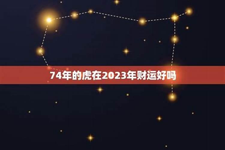 2024龙年哪些生肖犯太岁