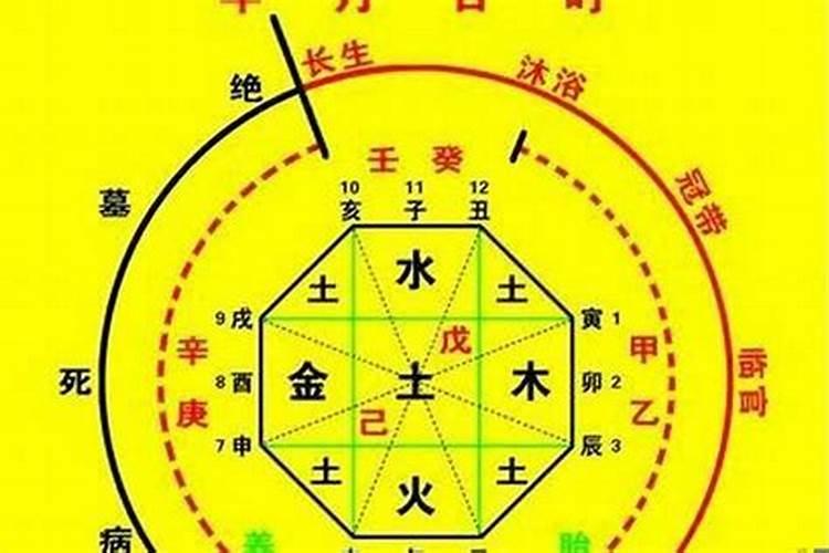 女人梦见红鲤鱼是怀孕了吗