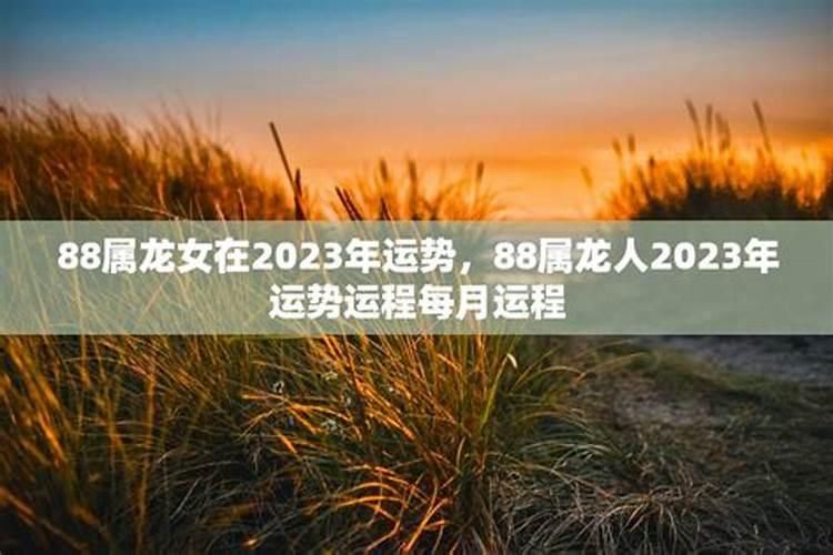 88年的2023年运势