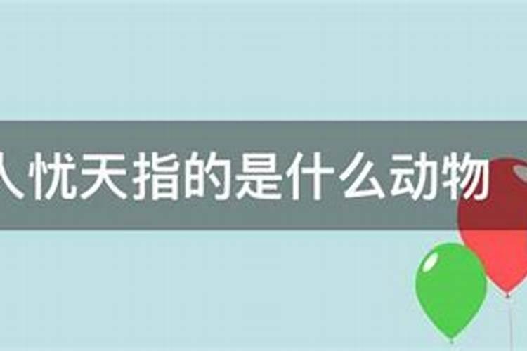 杞人忧天是代表什么生肖