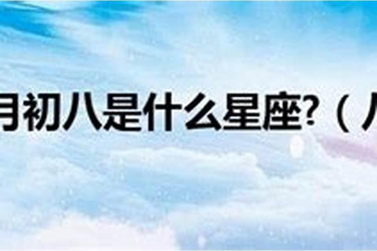 2004农历二月初八是什么星座的