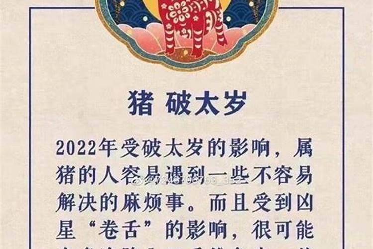 问道十二生肖怎么换神兽啊