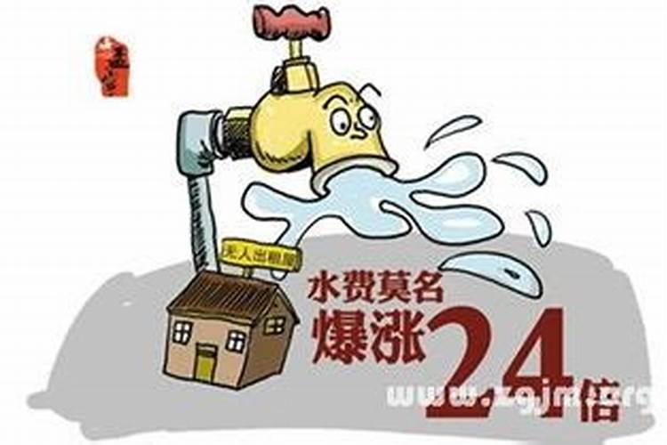 老鼠跟兔子合不合得来