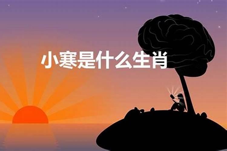 面朝太阳背影黑是什么动物