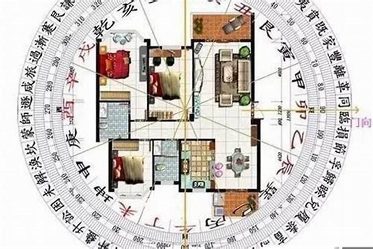 梦见捉住一只黑色的鸟