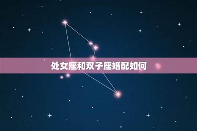 梦到摘桃子什么意思