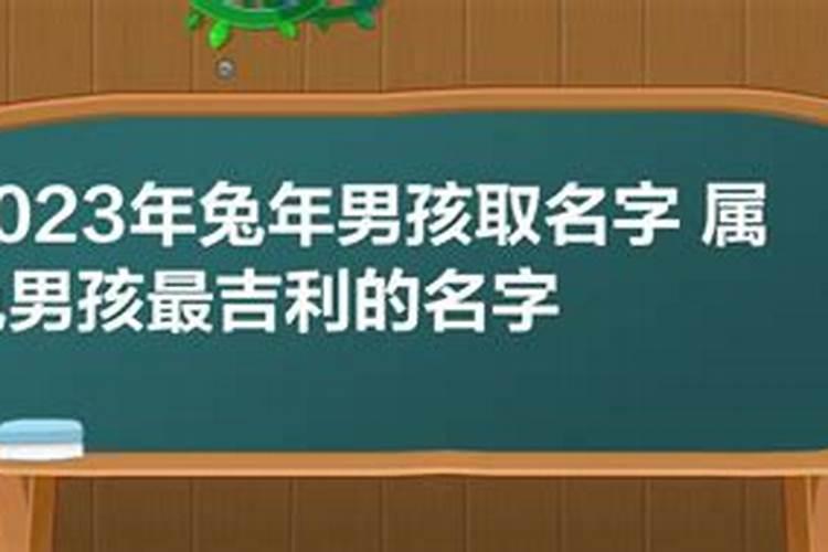 2023年属兔宝宝男孩名字