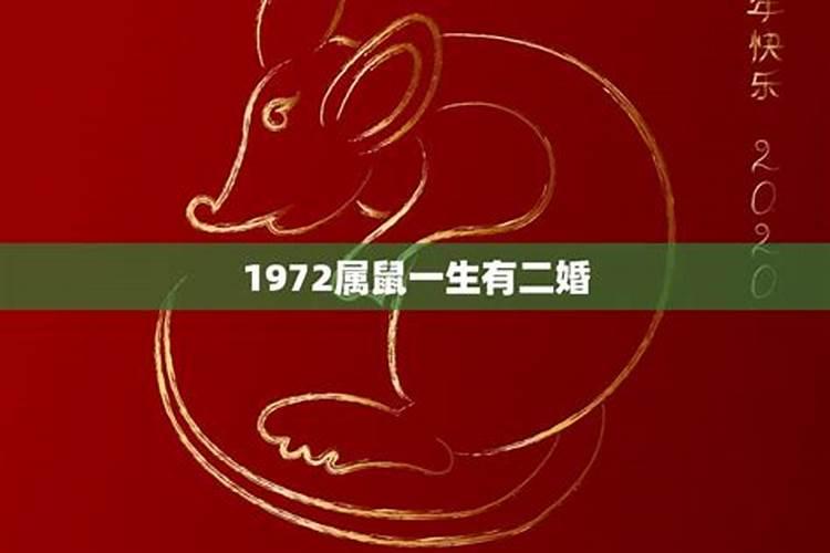 1972属鼠的