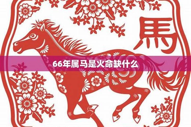 66年属马农历8月出生2Ol9年运势