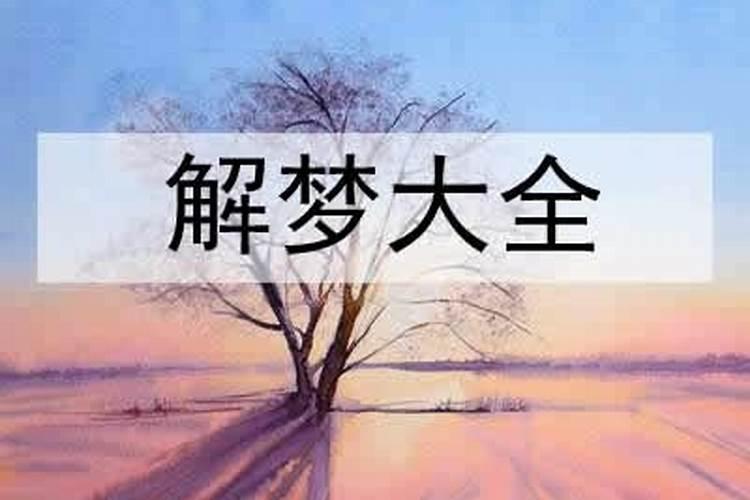 梦见暗恋的人是什么兆头