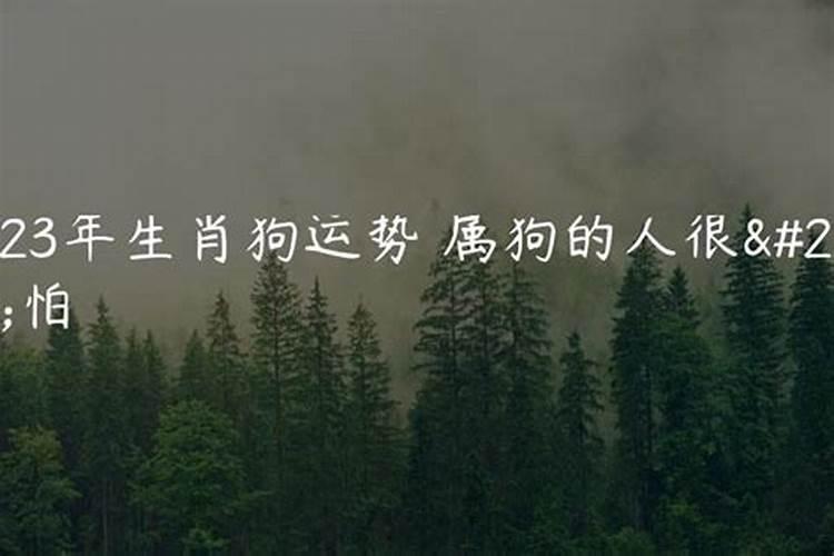 1968年属猴人今年运势2021年每月运势