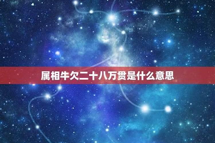 80年属猴人2023年运势及运程每月运程