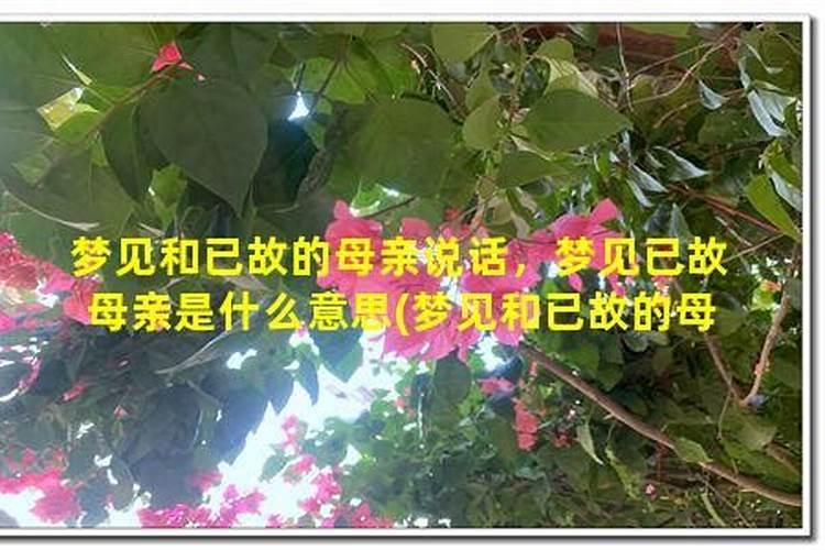 中秋节是哪一天几月几号