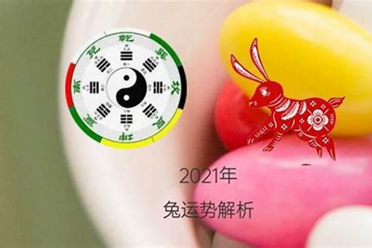 属兔今年7月运势