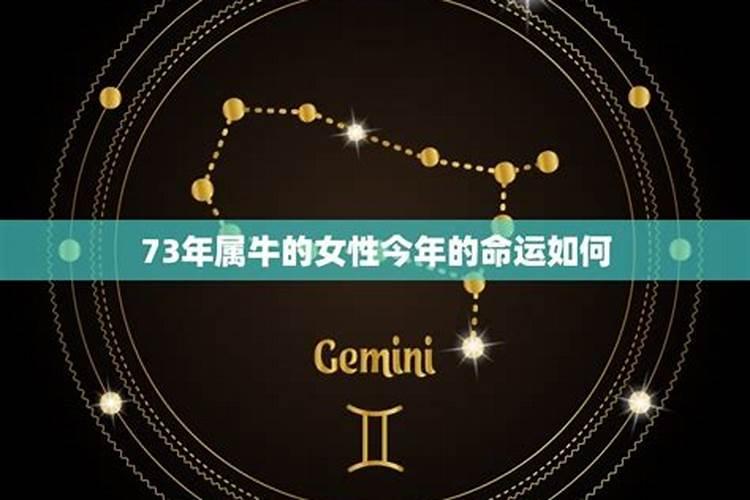 属马的明年运势怎么样2021