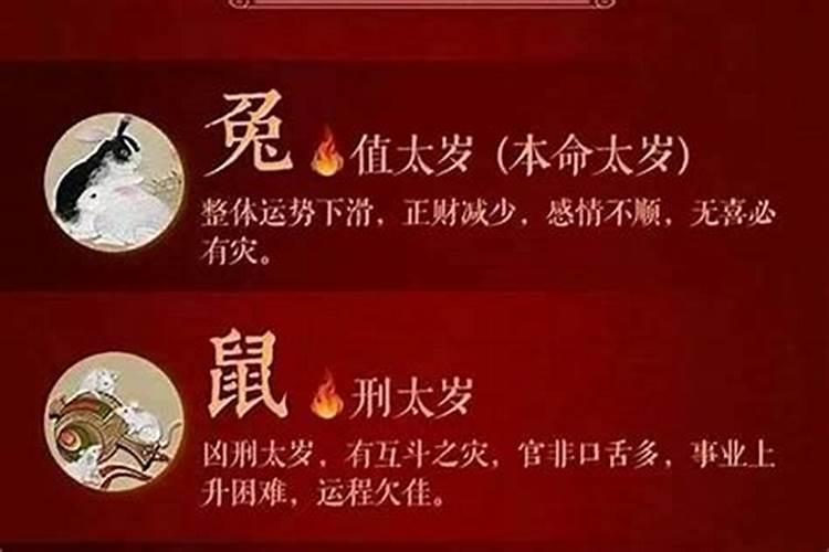 属龙的跟属马的今年运势好吗