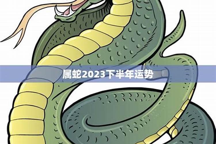 十二生肖的今年的运程2023年