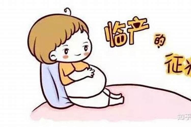 龙抬头宜干什么