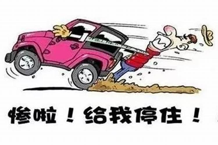 梦见被够狗追咬出血