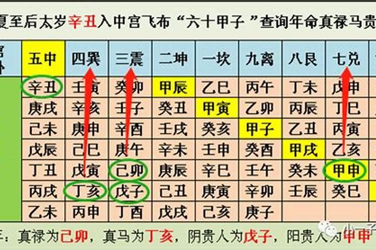 今年农历冬至节气是哪天