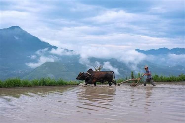 吉林市北山婴灵超度