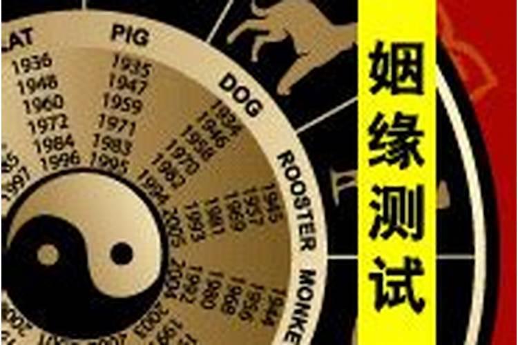 属虎人明年本命年