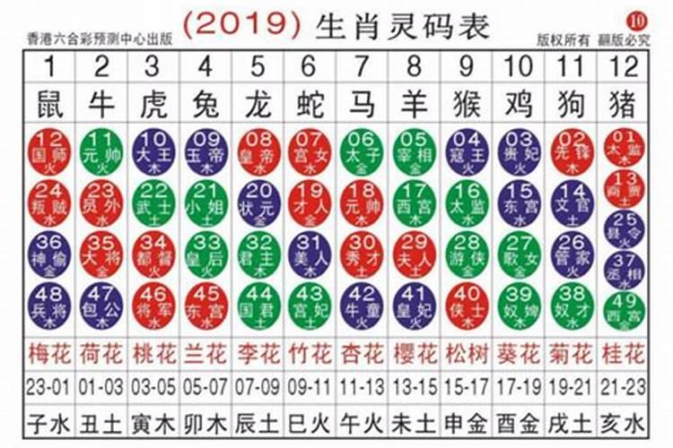 20是什么生肖