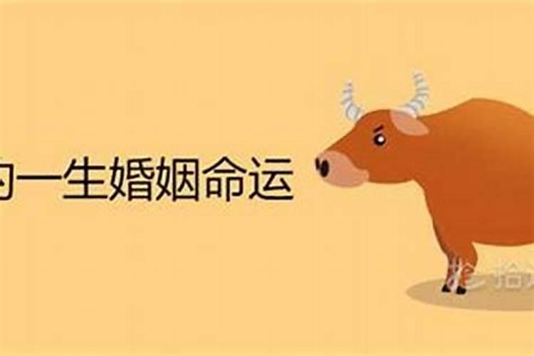 算命中八字指的是什么内容