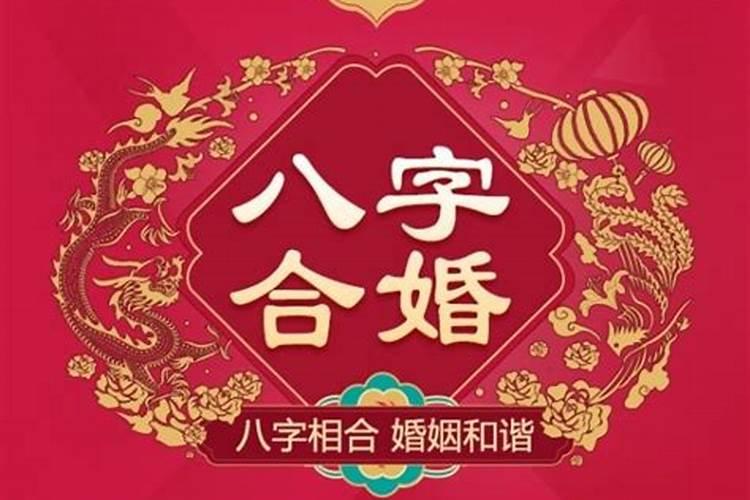 贝字五行属什么生肖