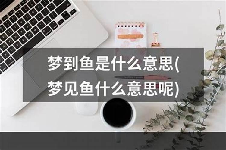 梦到鱼是什么情况周公解梦