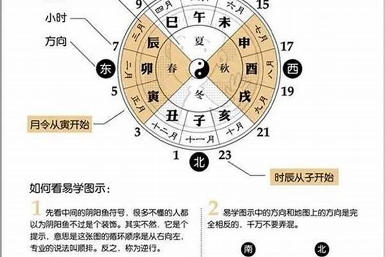 农历1981年三月十五是什么命