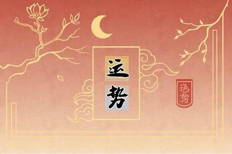 11月8日是什么生肖