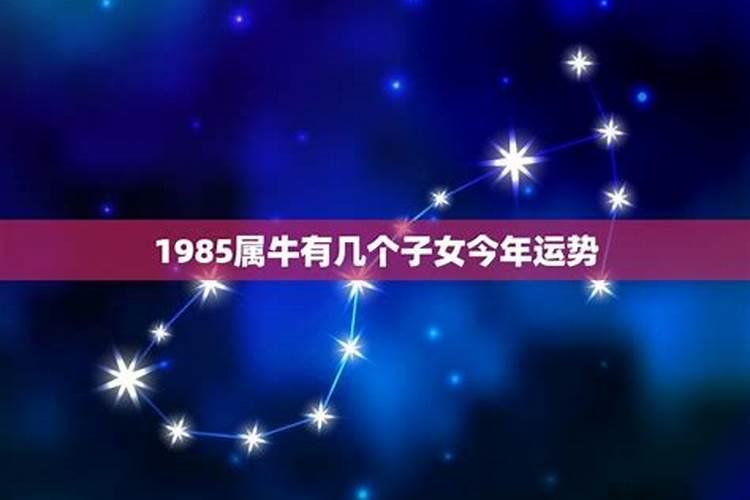 1982年的运势如何