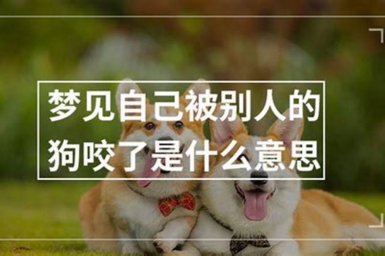 梦到被别人的狗咬了是什么意思