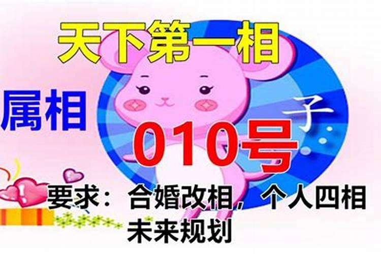 属羊2023年运势月运程