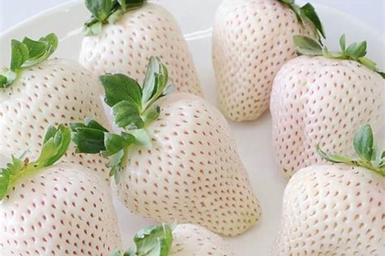 梦见好多白色的草莓