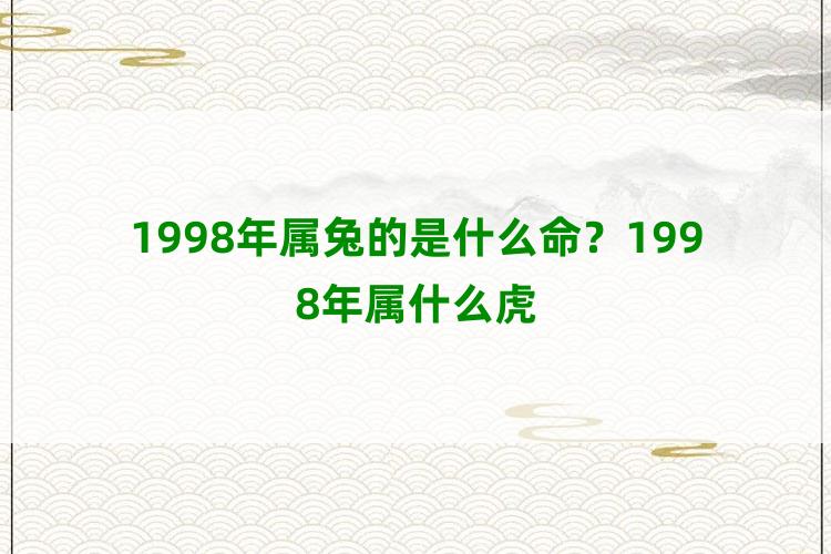 1998年属兔的是什么命？1998年属什么虎