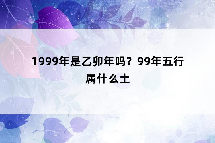 1999年是乙卯年吗？99年五行属什么土