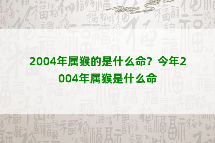 2004年属猴的是什么命？今年2004年属猴是什么命