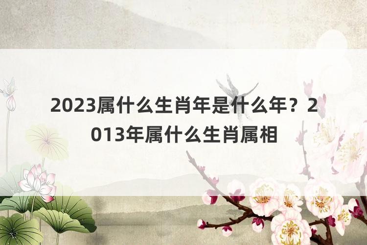 2023属什么生肖年是什么年？2013年属什么生肖属相